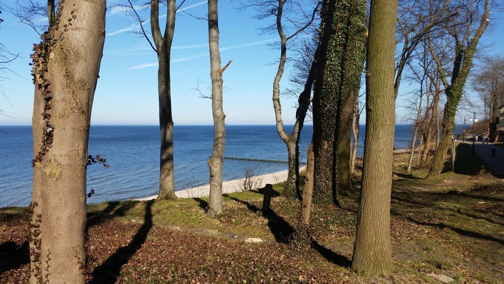 Parco vacanze Pomerania Z Podgrzewanym Basenem 30 Metrow Do Morza Rewal